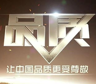 CCTV《品质》栏目麻豆视频下载专题纪录片完整版