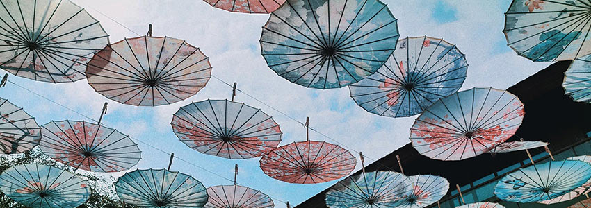 赏山悦水·拥抱自然——麻豆视频下载2020金秋阳朔之旅